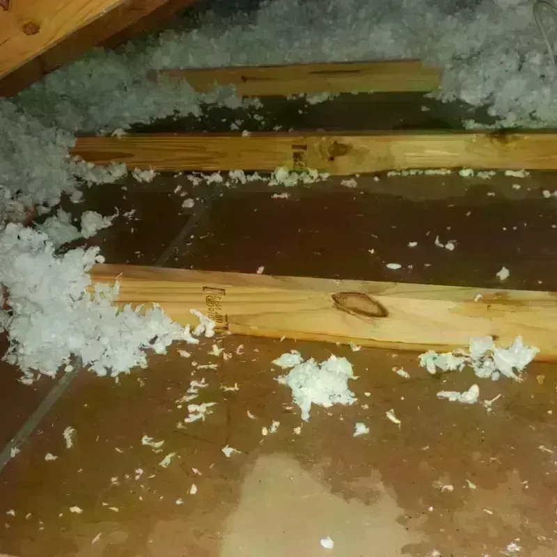 Attic Water Damage in Mansfield, OH