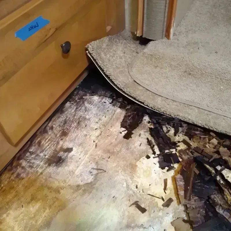 Wood Floor Water Damage in Mansfield, OH